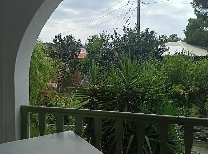 Olympia Koukounaries